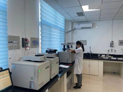 检爱40年 河北公司基础设施飞跃与计算机辅助设备修理新篇章